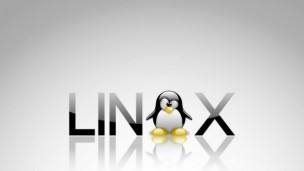Ƕʽlinux,Ƕʽlinux(q)(dng)