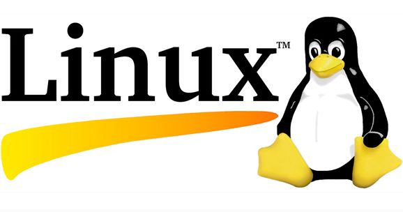 linux_l(f),linux󾀳̔(sh)